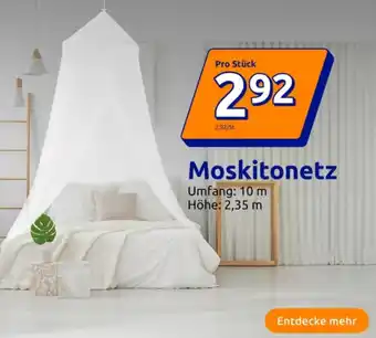 Action Moskitonetz Angebot
