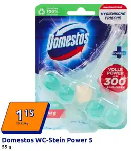 Action Domestos WC-Stein Power 5 Angebot