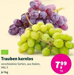 Aleco Biomarkt Trauben kernlos Angebot