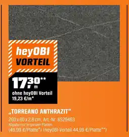 OBI Torreano anthrazit Angebot
