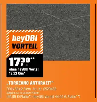 OBI Torreano anthrazit Angebot