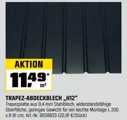 OBI Trapez-abdeckblech „h12“ Angebot