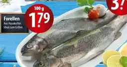 Famila Nord Ost Forellen Angebot