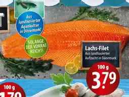 Famila Nord Ost Lachs-Filet Angebot