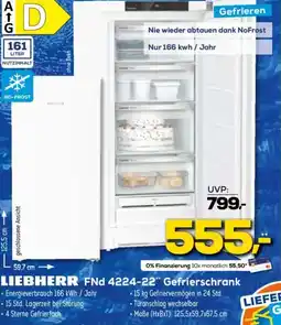 Euronics LIEBHERR FNd 4224-22" Gefrierschrank Angebot