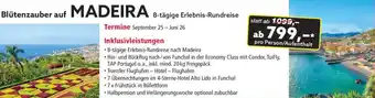 Norma Madeira Angebot