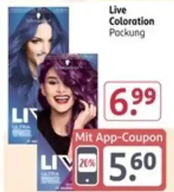 Rossmann Live Coloration Angebot