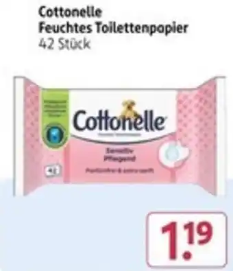Rossmann Cottonelle Feuchtes Toilettenpapier Angebot