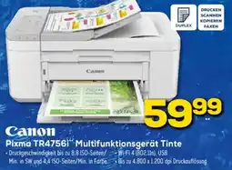 Euronics Canon Pixma TR4756i Multifunktionsgerät Tinte Angebot