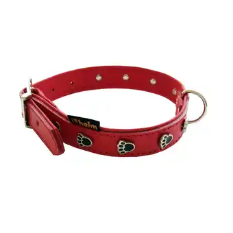 Netto Marken-Discount Halsband Pfote Angebot