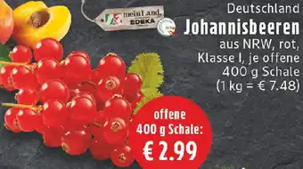 Edeka Johannisbeeren Angebot