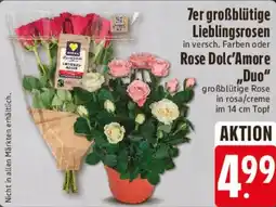 Edeka 7er großblütige Lieblingsrosen, Rose Dolc'Amore ,,Duo" Angebot