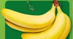 Aldi Nord Bananen Angebot