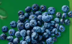 Aldi Nord Kulturheidelbeeren Angebot