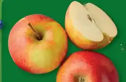 Aldi Nord Tafelapfel Angebot
