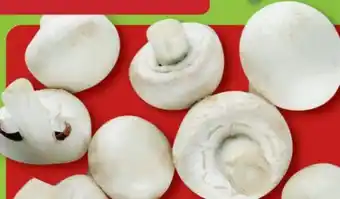 Aldi Nord Kulturchampignons weiß Angebot
