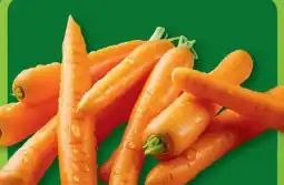 Aldi Nord Speisemöhren Angebot