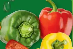 Aldi Nord Paprika Mix Angebot