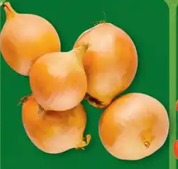 Aldi Nord Gemüsezwiebeln Angebot