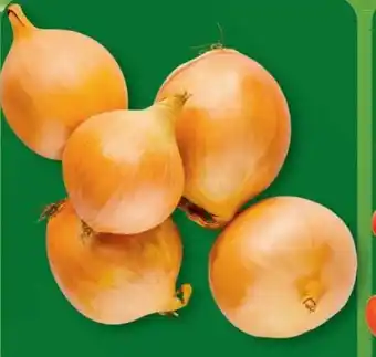 Aldi Nord Gemüsezwiebeln Angebot
