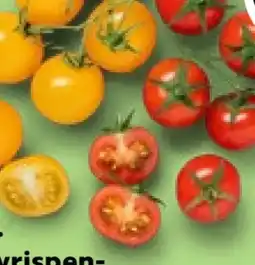 Kaufland Cherryrispentomaten Angebot