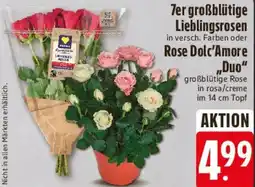 E-Center 7er großblütige Lieblingsrosen, Rose Dolc'Amore „Duo" Angebot