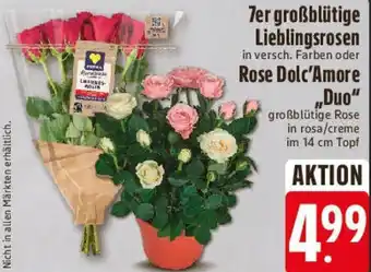 E-Center 7er großblütige Lieblingsrosen, Rose Dolc'Amore „Duo" Angebot
