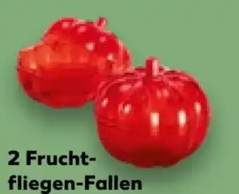 Kaufland Gardigo Fruchtfliegen-Fallen Angebot