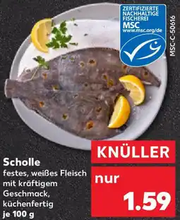 Kaufland Scholle Angebot