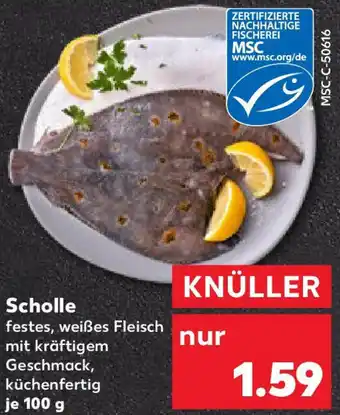 Kaufland Scholle Angebot