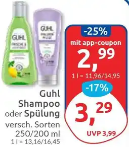 Budni Guhl Shampoo oder Spülung Angebot