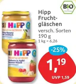 Budni Hipp Fruchtgläschen Angebot