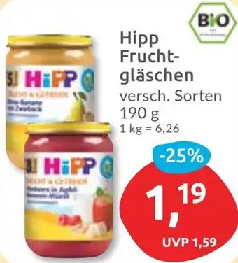 Budni Hipp Fruchtgläschen Angebot