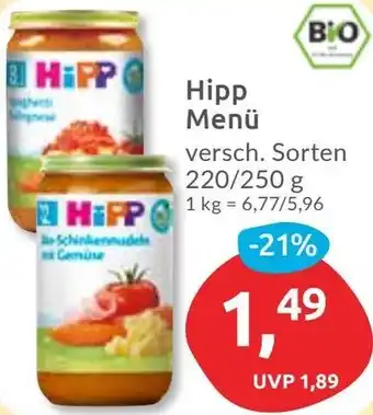 Budni Hipp Menü Angebot