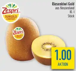 diska Zespri Riesenkiwi Gold Angebot
