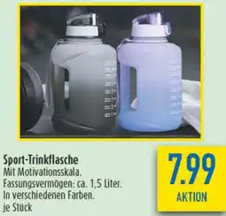 diska Sport-Trinkflasche Angebot