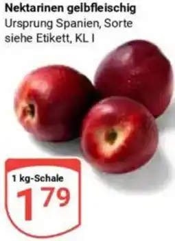 Globus Nektarinen gelbfleischig Angebot