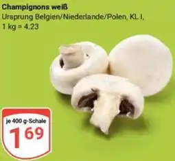 Globus Champignons weiß Angebot