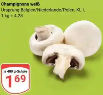 Globus Champignons weiß Angebot