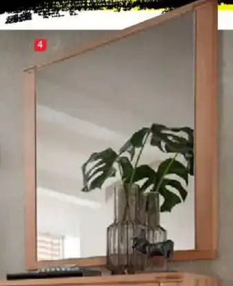 Zurbrüggen LINEA NATURA Spiegel Angebot