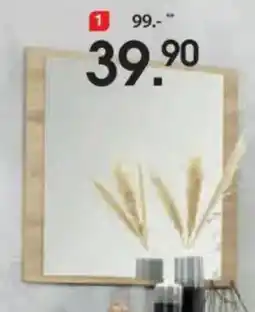 Zurbrüggen xora Spiegel Angebot