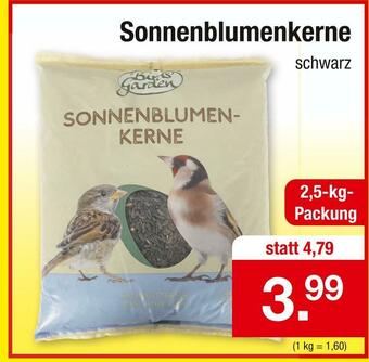 Zimmermann Sonnenblumenkerne Angebot