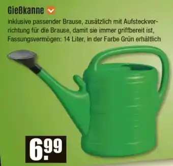 V Baumarkt Gießkanne Angebot