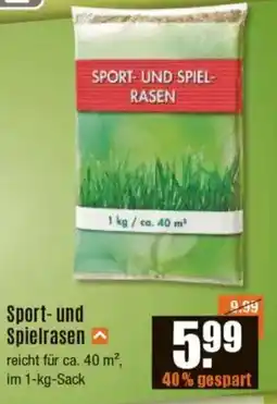 V Baumarkt Sport- und Spielrasen Angebot