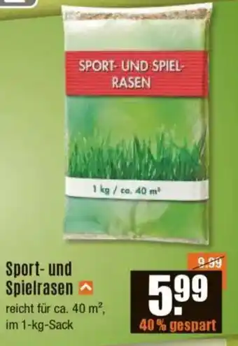 V Baumarkt Sport- und Spielrasen Angebot