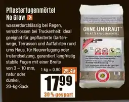 V Baumarkt Pflasterfugenmörtel No Grow Angebot