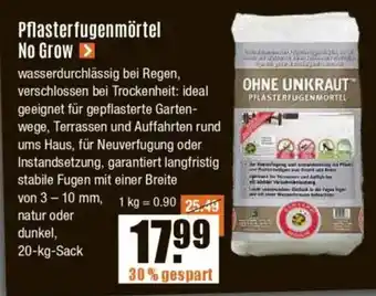 V Baumarkt Pflasterfugenmörtel No Grow Angebot