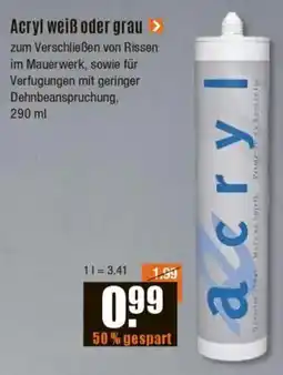 V Baumarkt Acryl weiß oder grau Angebot