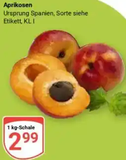 Globus Aprikosen Angebot