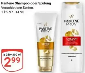Globus Pantene Shampoo oder Spülung Angebot